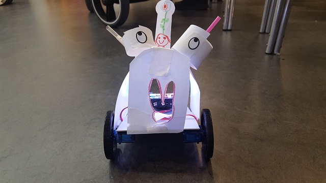 Racing Rabbit Robots
