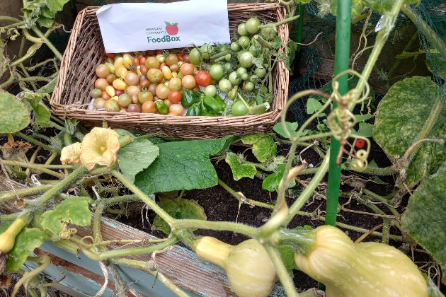 Brickfield grown produce is distributed to people using the centre
