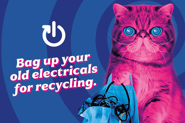 Hypnocat plans to mesmerise you into recycling your electrical goods 
