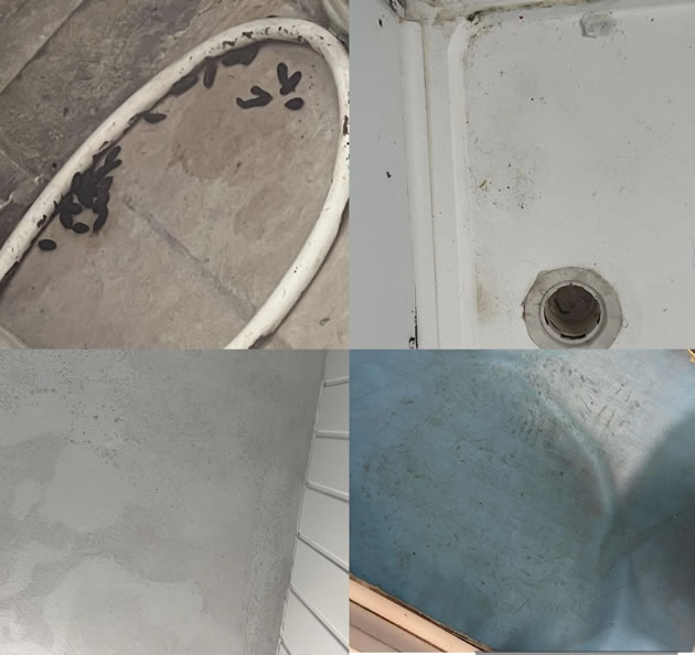 Pictures taken by Vanessa Kassakova of the property they were offered 