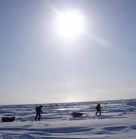 Polar Challenge