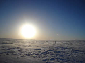 Polar Challenge